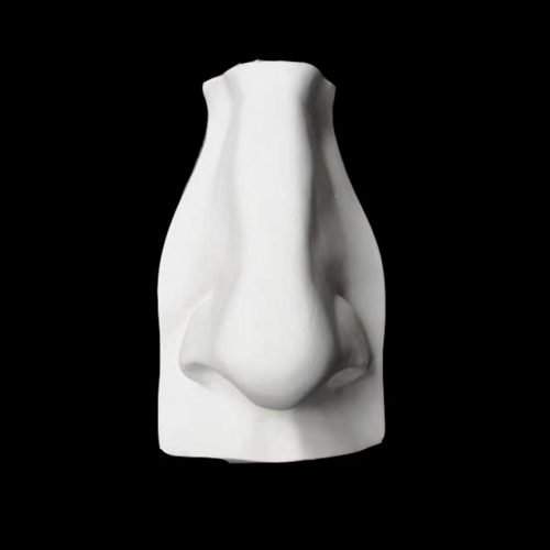 London Fine Art Studios Lavender Hill Colours Atelier Courses Art Shop London Hand Poured Plaster Cast Michelangelo David's Nose